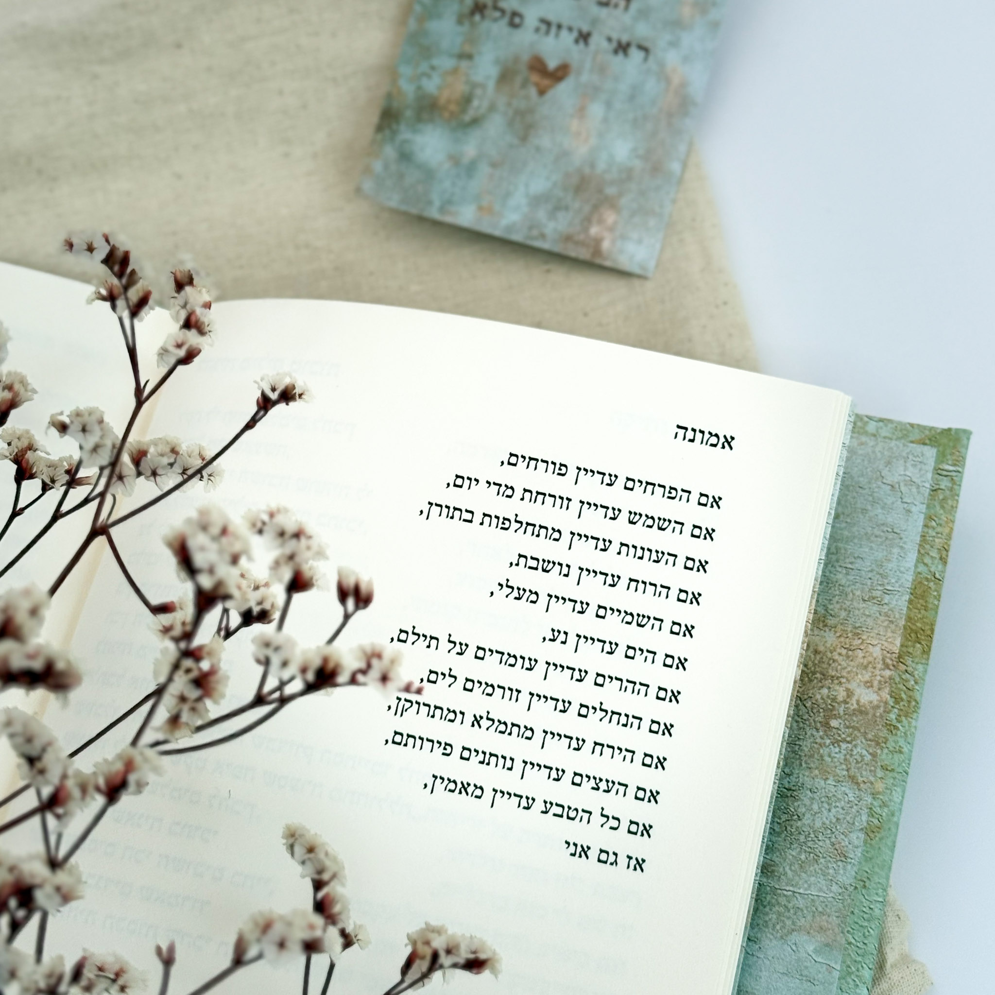 ספר 'פלא' - שניקה שקד