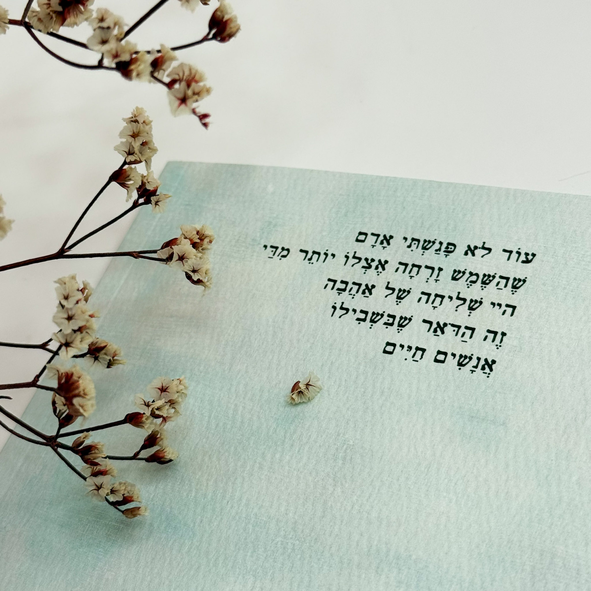 מחברת השראה - 'גם את ים' - שניקה שקד מחברת השראה - 'גם את ים' - שניקה שקד