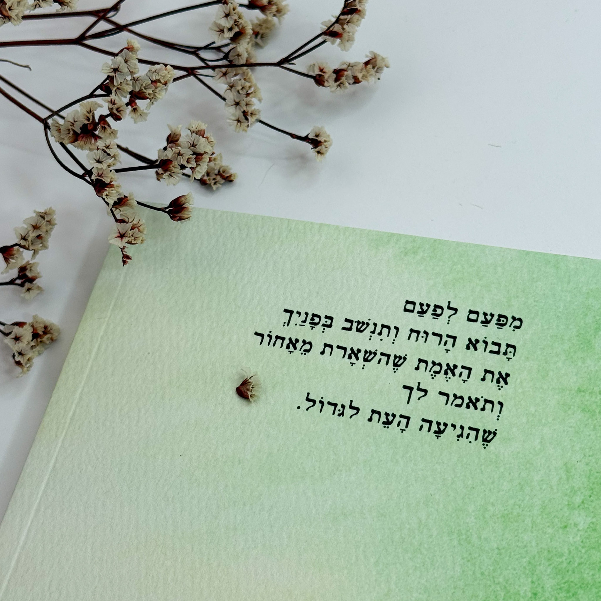 מחברת השראה- 'כל אישה צריכה אחות' - שניקה שקד מחברת השראה- 'כל אישה צריכה אחות' - שניקה שקד