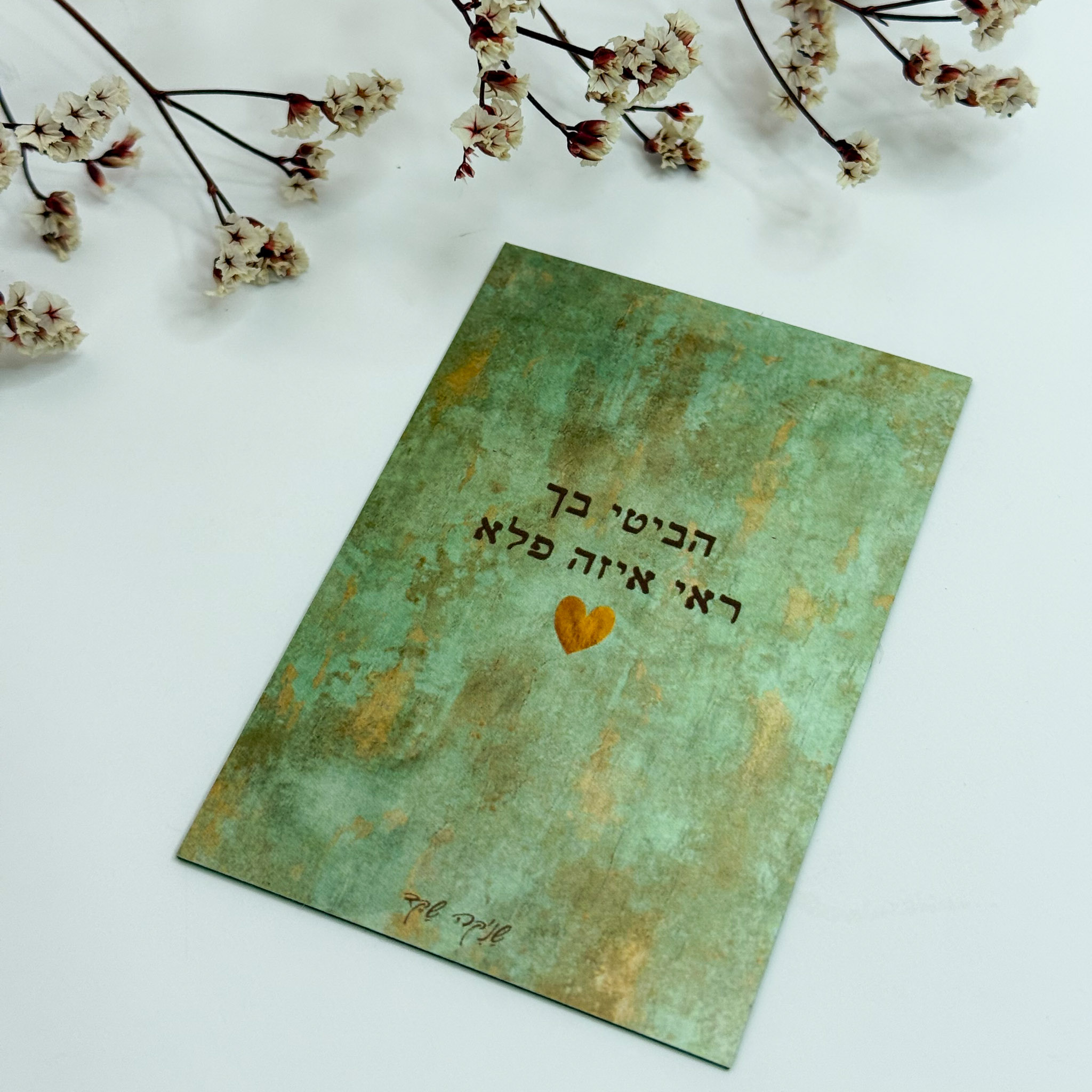 מגנט 'פלא' - שניקה שקד מגנט 'פלא' - שניקה שקד