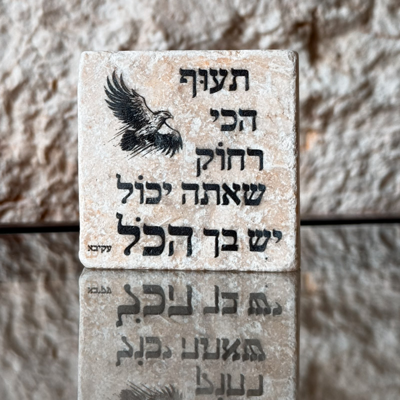 אריח 5/5 - תעוף הכי רחוק שאתה יכול אריח 5/5 - תעוף הכי רחוק שאתה יכול