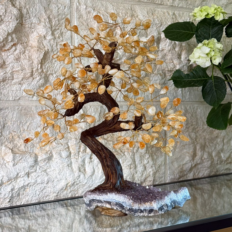 עץ סיטרין על מושבה ענק