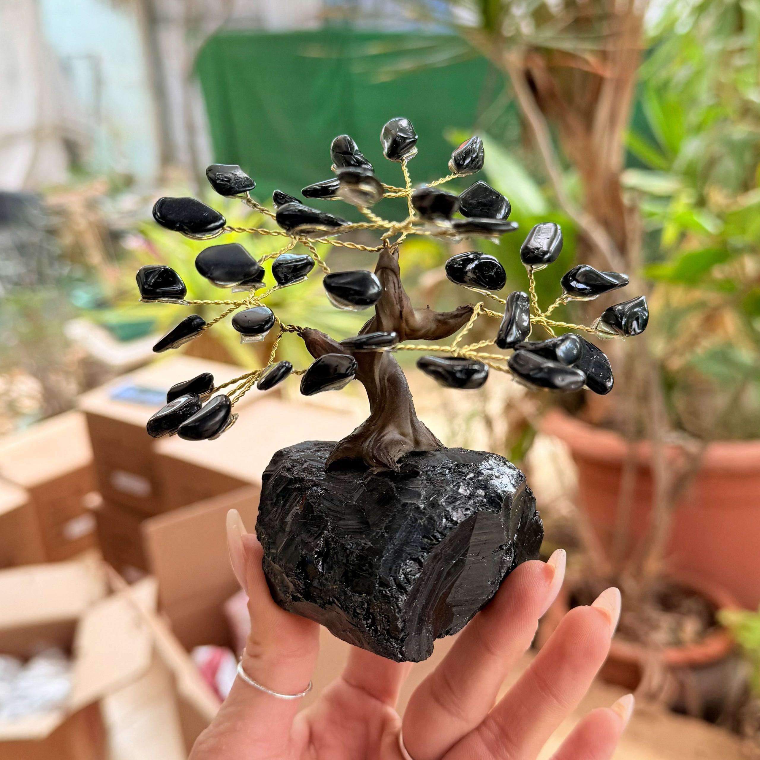 העץ הנדיב טורמלין שחור על טורמלין שחור קטן העץ הנדיב טורמלין שחור על טורמלין שחור קטן