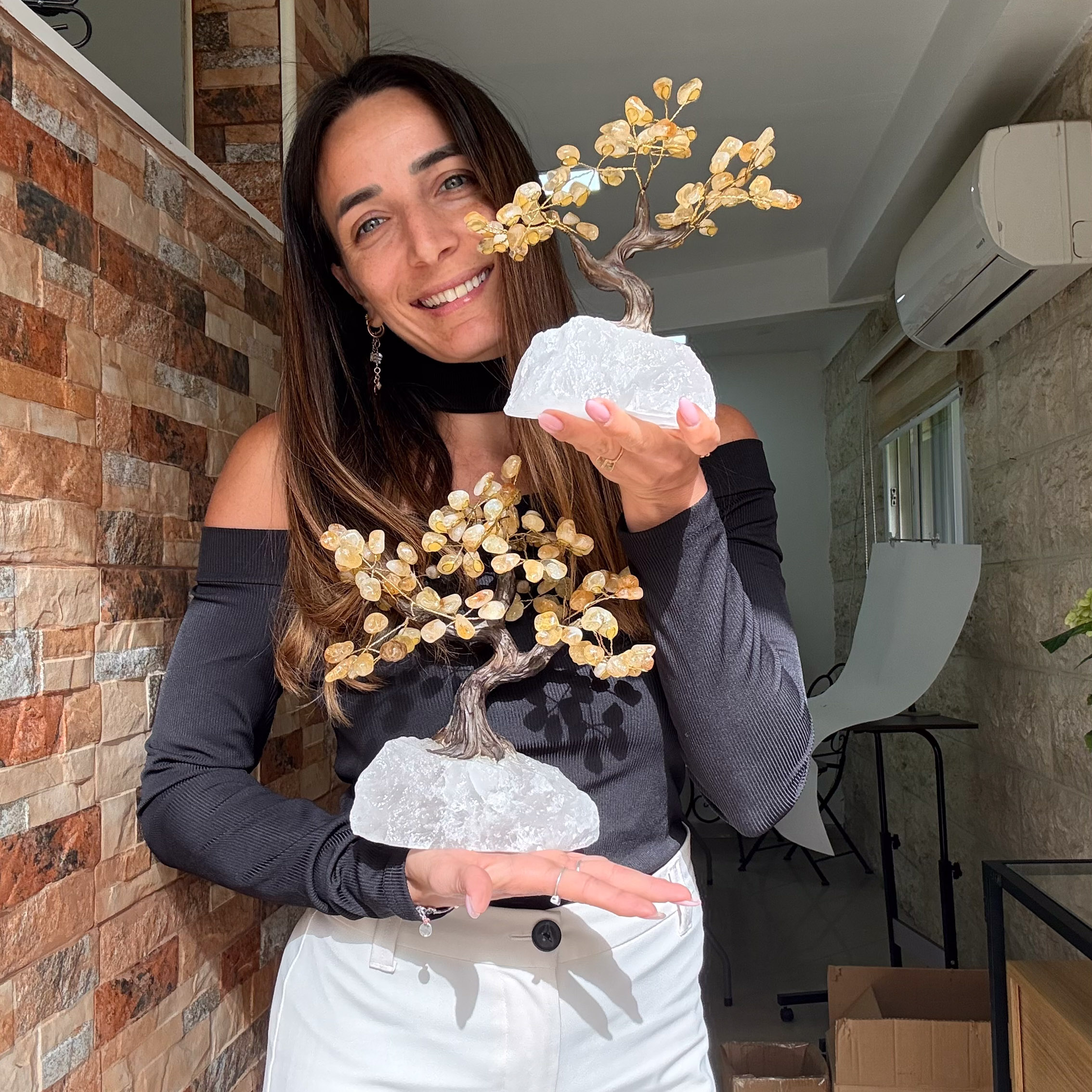 העץ הנדיב סיטרין על קוורץ בינוני העץ הנדיב סיטרין על קוורץ בינוני
