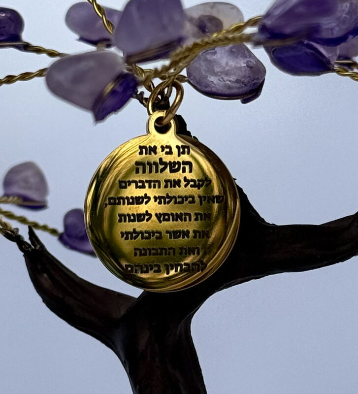 העץ הנדיב טורמלין שחור על קוורץ בינוני העץ הנדיב טורמלין שחור על קוורץ בינוני