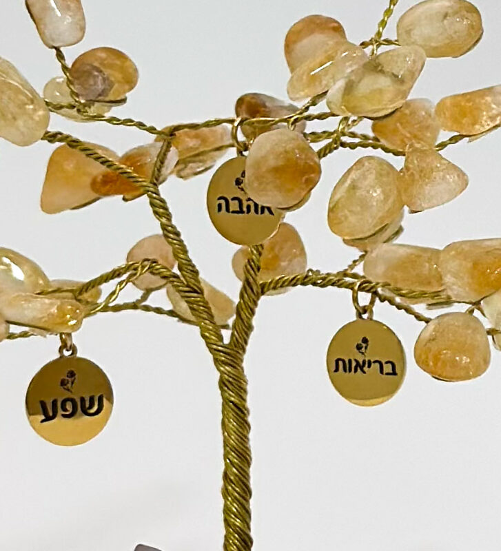 העץ הנדיב טורמלין שחור על טורמלין שחור גדול
