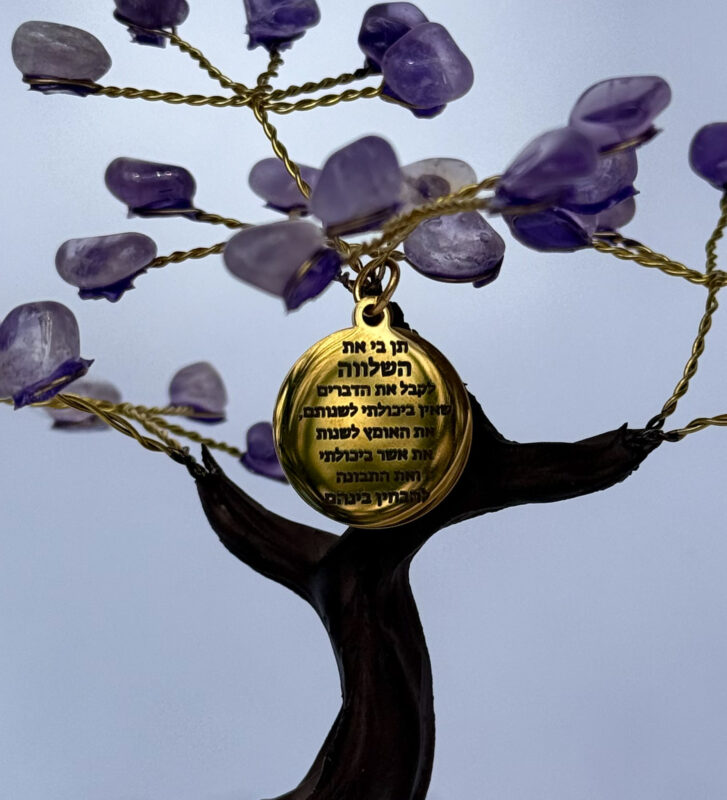 העץ הנדיב טורמלין שחור על קוורץ בינוני העץ הנדיב טורמלין שחור על קוורץ בינוני